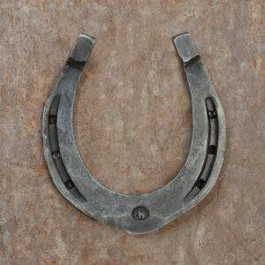 Iron Horse Shoe